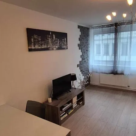 Nouveau !! Confortable Totalement Renove Avec Parking Gratuit - Hypercentre De Apartament Nancy