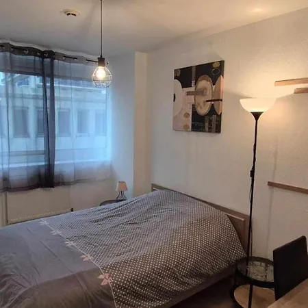 Apartament Nouveau !! Confortable Totalement Renove Avec Parking Gratuit - Hypercentre De