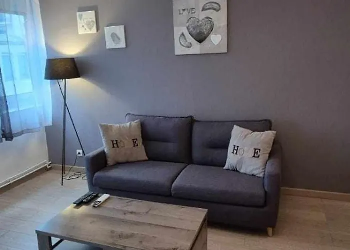 Lägenhet Nouveau !! Confortable Totalement Renove Avec Parking Gratuit - Hypercentre De *