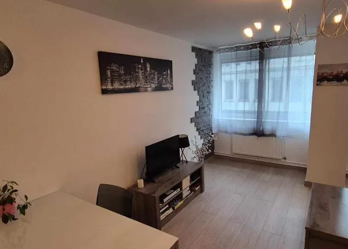 Nouveau !! Confortable Totalement Renove Avec Parking Gratuit - Hypercentre De Lägenhet Nancy