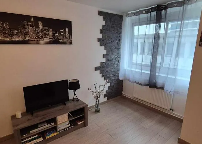 Lägenhet Nouveau !! Confortable Totalement Renove Avec Parking Gratuit - Hypercentre De Nancy