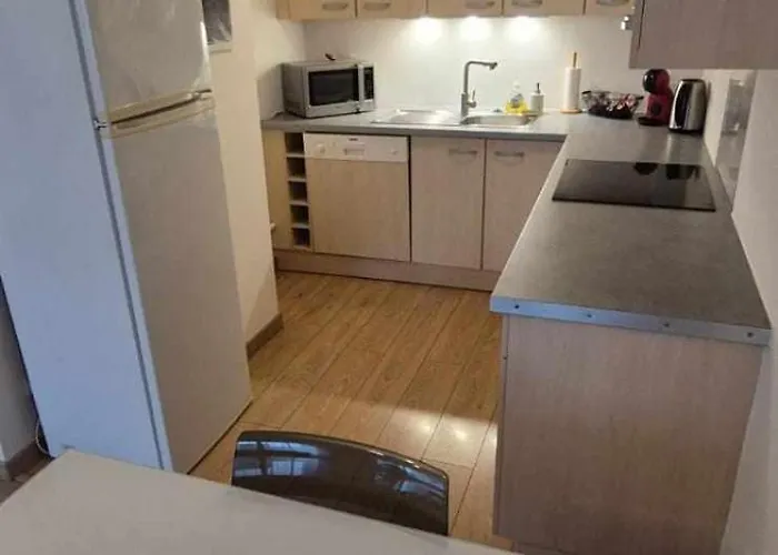 Lägenhet Nouveau !! Confortable Totalement Renove Avec Parking Gratuit - Hypercentre De Nancy