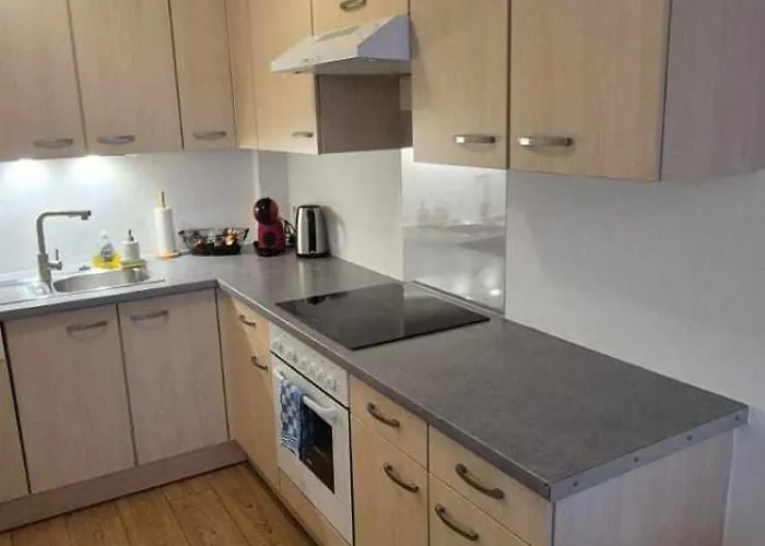 Nouveau !! Confortable Totalement Renove Avec Parking Gratuit - Hypercentre De *