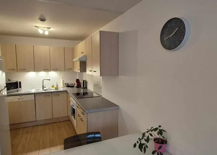 Nouveau !! Confortable Totalement Renove Avec Parking Gratuit - Hypercentre De Nancy