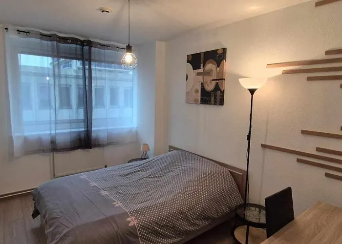 Lägenhet Nouveau !! Confortable Totalement Renove Avec Parking Gratuit - Hypercentre De